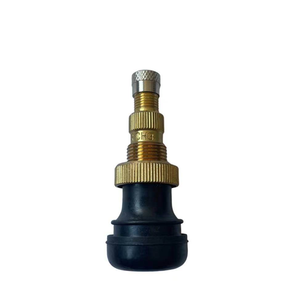 Tire Valve Stem TR601A
